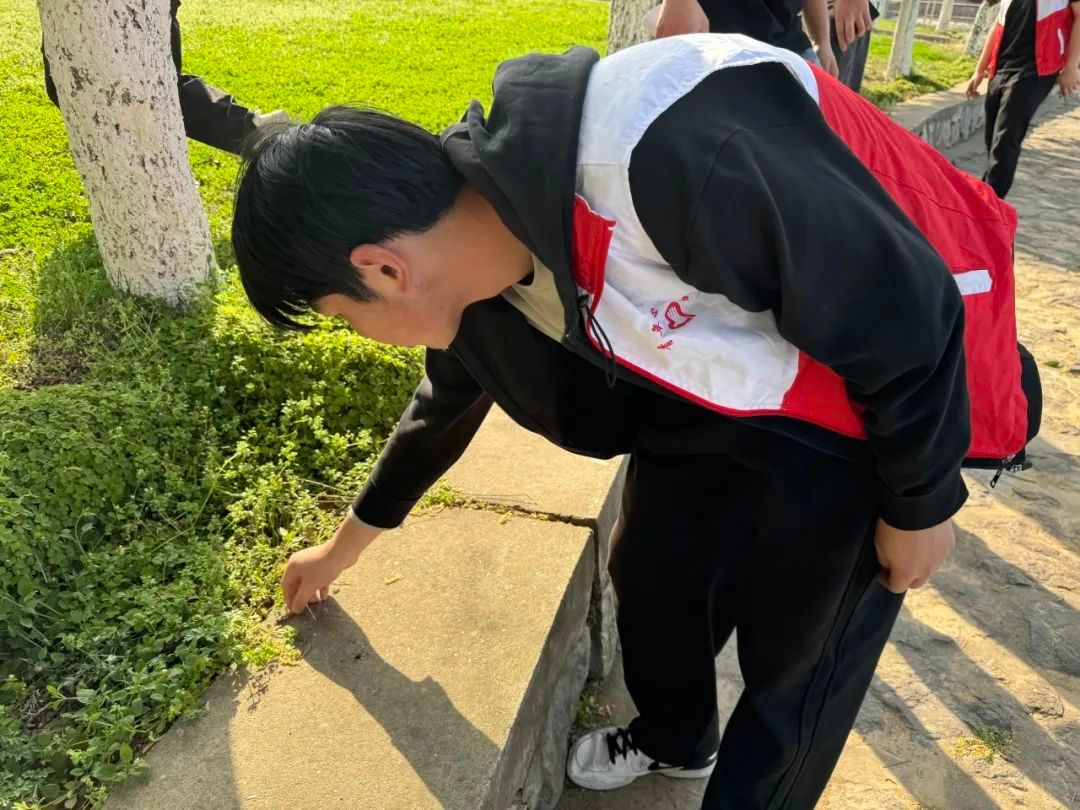 suncitygroup太阳集团