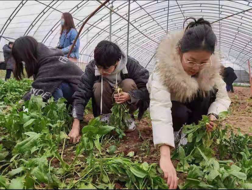 suncitygroup太阳集团